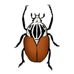 Icondecotter ゴライアスハナムグリ あなたのtwitterアイコンをデコレーション アイコンデコッター 1112